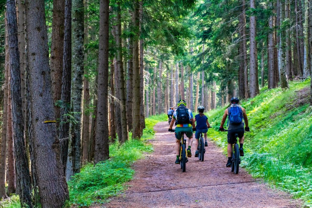 Enjoying lake Como cycling with your mountain bike or e bike Hotel Loveno